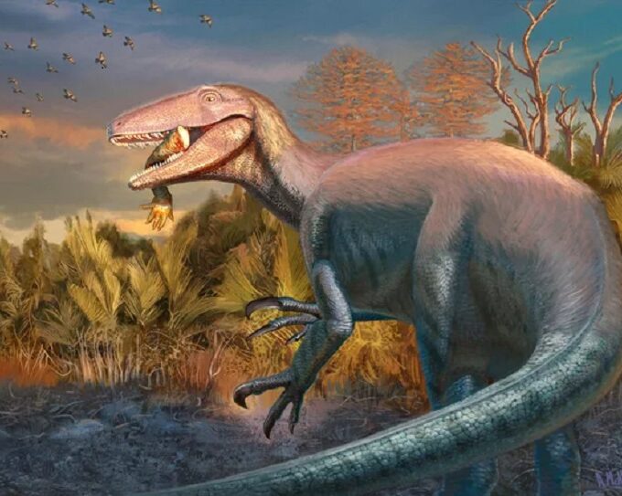 Scientists Discover New Species of predatory dinosaur from south america