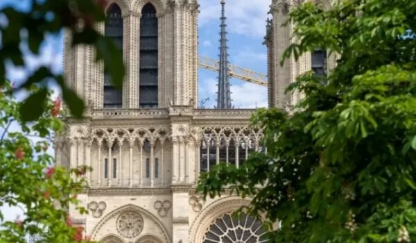 Notre Dame Cathedral reopens