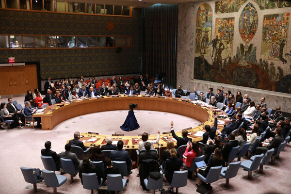 UN Security Council