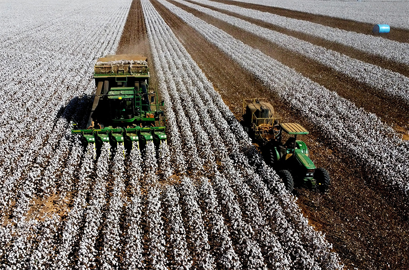 Cotton industry