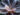 DNA flower microrobots