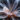 DNA flower microrobots