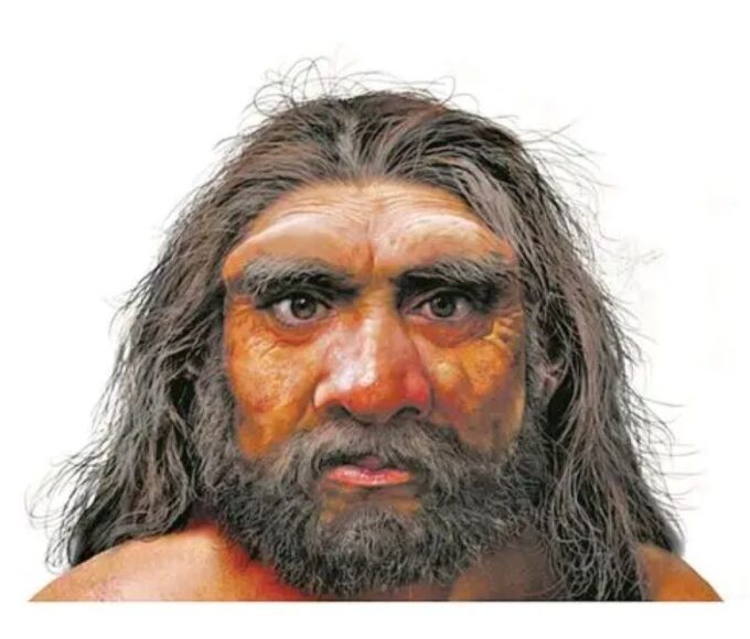 Homo longi