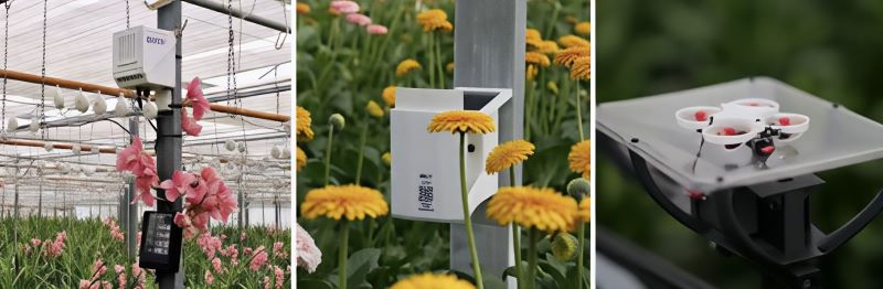 Smart devices in the flower greenhouse