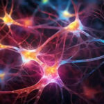 Stem cells restore brain circuits