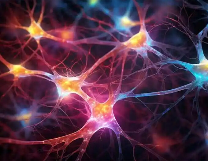 Stem cells restore brain circuits