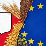 Poland-EU grain rift