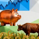 Agricultural investment