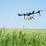 Agricultural robot spraying mist in vineyard