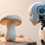 Mushrooms as robot commanders