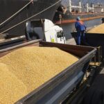 Soybean export