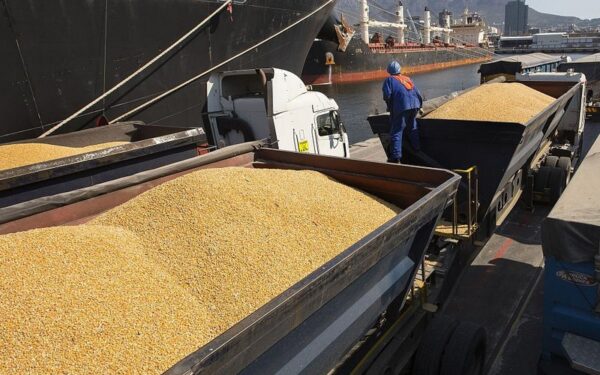 Soybean export