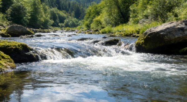 River water resources