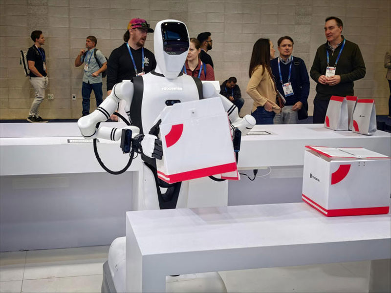 RoboSense humanoid robot