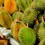 Durian industry