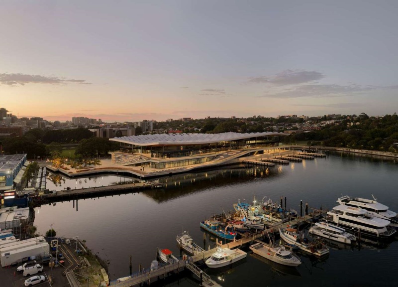 Aerial view of sydney fish market at sunset with boats